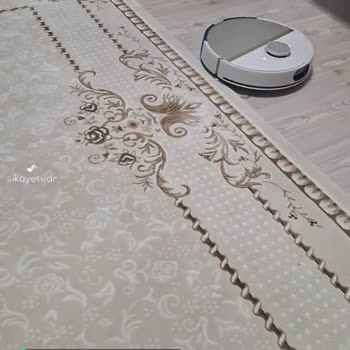 Philips Robot Konuşma Arızası, Sürekli Konuşuyor