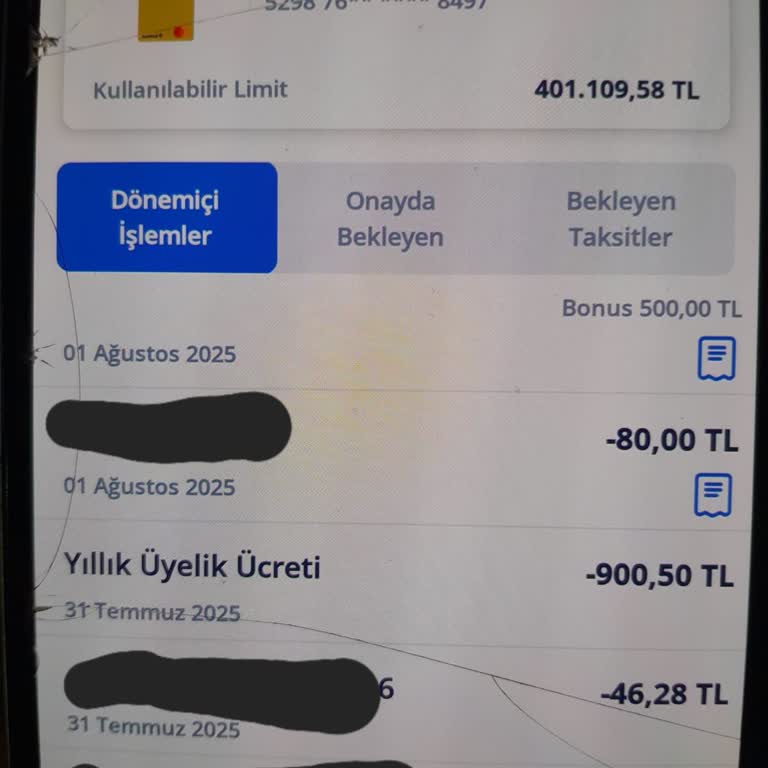 Her Yıl Tekrarlanan Yıllık Kart Ücreti Sorunu Ve Çözüm Eksikliği