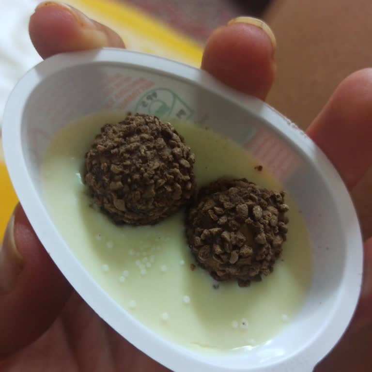 Küflü Kinder Koy Ürünüyle Karşılaştım, Değişim Talep Ediyorum