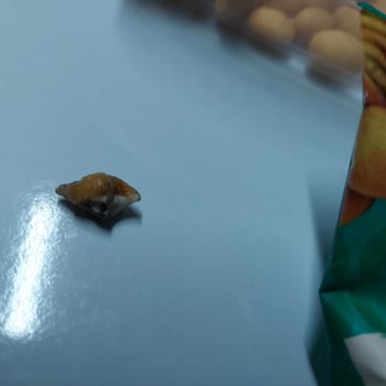 Simbat Kuruyemiş Aldığım Cips Fıstık Paketinden Deniz Salyangozu Çıktı