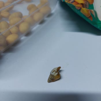 Simbat Kuruyemiş Aldığım Cips Fıstık Paketinden Deniz Salyangozu Çıktı