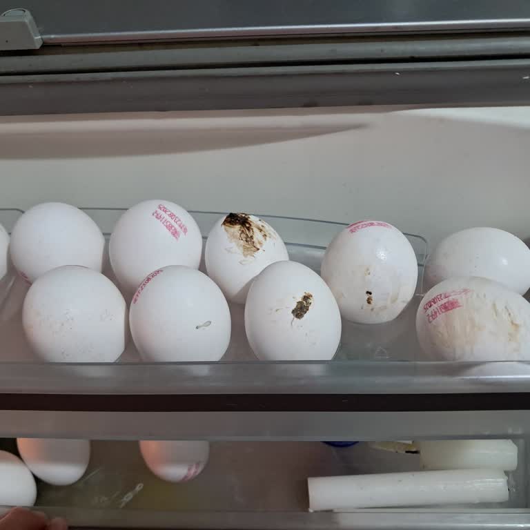 Hijyen Sorunu: Yumurtalar Kirli Ve Güvensiz