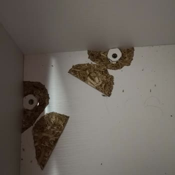 Garanti Kapsamındaki Yatağın Kırılması Ve Ücretli Tamir Talebi Mağduriyetim