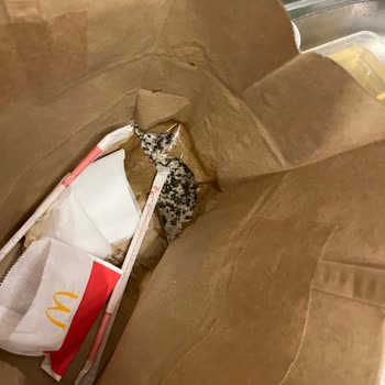 Eksik Ve Dökülen Ürünler Nedeniyle Maddi Zarara Uğradım, Çözüm Bekliyorum