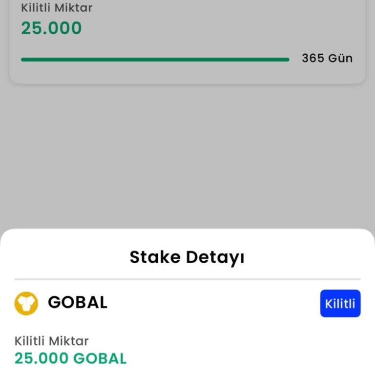 Jetonlarımın Kilidi 3 Ay Geçtiği Halde Hâlâ Açılmadı, Mağduriyetim Sürüyor