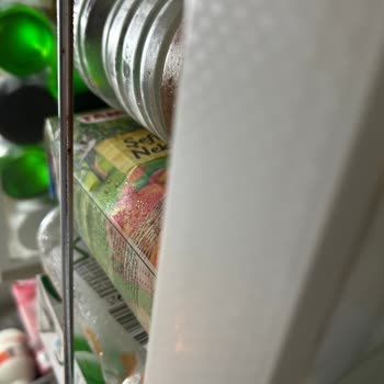 Liebherr Buzdolabında Kronik Sorunlar Ve Yüksek Masraflar