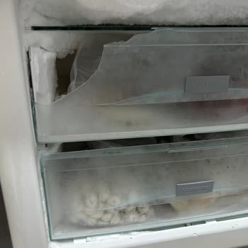 Liebherr Buzdolabında Kronik Sorunlar Ve Yüksek Masraflar