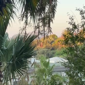 Yasmin Bodrum Resort Çözülmeyen Gürültü Problemi
