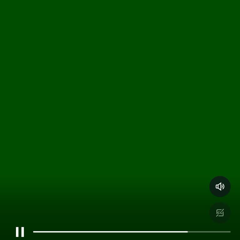 Samsung A34 Güncelleme Sonrası Ekran Donma Ve Yeşil Ekran Sorunu