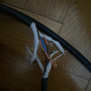 Dyson Süpürge Başlığı Sürekli Kırılıyor Kalıcı Çözüm Bekliyorum