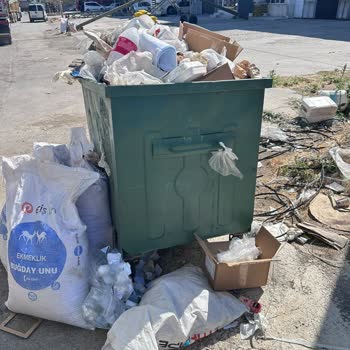 Çöp Konteyneri Eksikliği Nedeniyle Mahallede Oluşan Kirlilik Ve Koku Sorunu