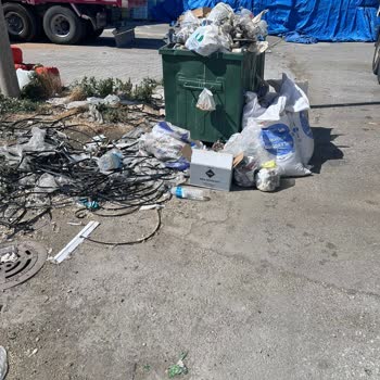 Çöp Konteyneri Eksikliği Nedeniyle Mahallede Oluşan Kirlilik Ve Koku Sorunu