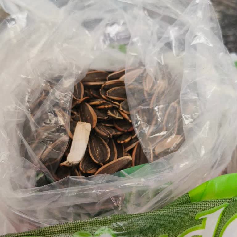 Çekirdek Paketinden Sigara İzmariti Çıktı, Şikayetimize Dönüş Olmadı