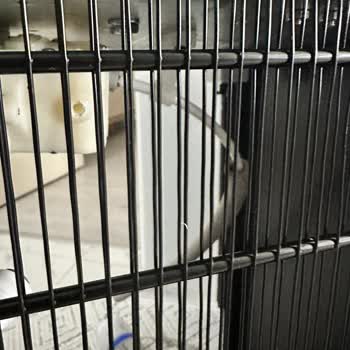 Arızalı Gelen Sebil İçin İade Sürecinde Yaşanan Sorun