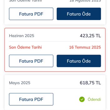 Aylardır Süren İnternet Kesintisi Ve Haksız Faturalandırma Mağduriyeti