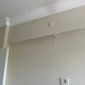 Son Kullanma Tarihi Geçmemiş Kefir Patladı, Mutfakta Kirlilik Ve Korku Yarattı