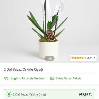 Görselden Farklı, Solmuş Orkide Ve Yetersiz Müşteri Hizmeti