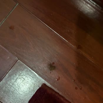 Balkan Turunda Otel Ve Yemeklerde Yaşanan Hayal Kırıklığı