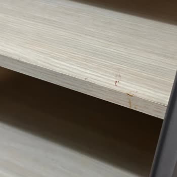 Balkan Turunda Otel Ve Yemeklerde Yaşanan Hayal Kırıklığı