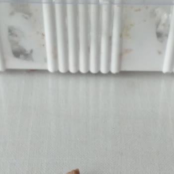 Kerebiçten Çıkan Taş Dişime Zarar Verdi İade Talebim Reddedildi