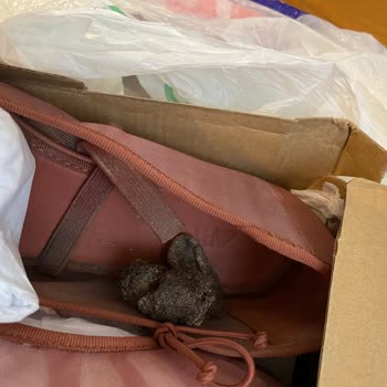 Aldığım Ürün Defolu Ve Sağlıksız Çıktı, İade Süreci Mağdur Ediyor