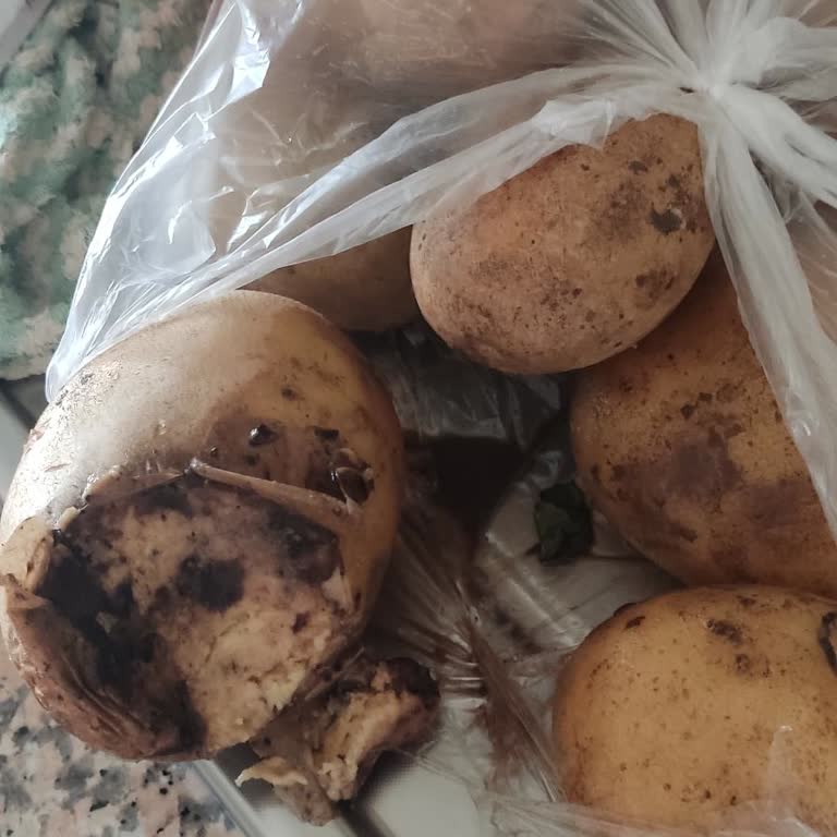 Çürük Patates Teslimatı Ve Yetersiz Müşteri Hizmeti