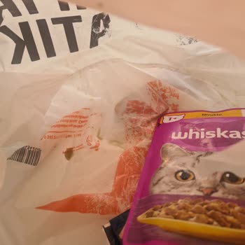 Deterjan Bulaşmış Ürünler Ve Sürekli Yaşanan Sorunlar Hayvan Sağlığını Tehdit Ediyor