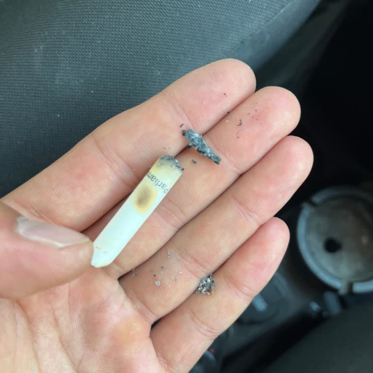 Parliament Night Blue'da Tahta Parçası Sorunu Ve Kalite Şikayeti