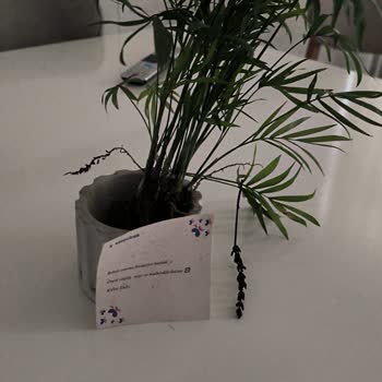 Sipariş Edilen Teraryum Görselden Farklı Ve Eksik Gönderildi