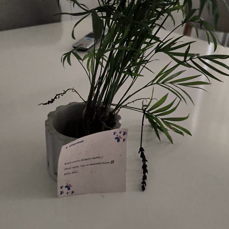 Sipariş Edilen Teraryum Görselden Farklı Ve Eksik Gönderildi