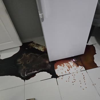 Vestel Derin Dondurucu Kronik Arızası: Maddi Zarar Ve Çözülmeyen Sorunlar