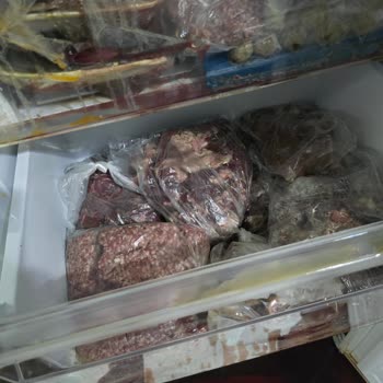 Vestel Derin Dondurucu Kronik Arızası: Maddi Zarar Ve Çözülmeyen Sorunlar