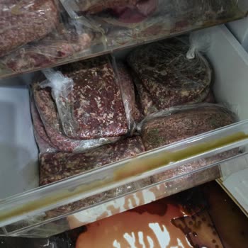 Vestel Derin Dondurucu Kronik Arızası: Maddi Zarar Ve Çözülmeyen Sorunlar