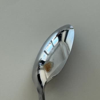 Çatal Kaşık Setinde Erken Paslanma Sorunu