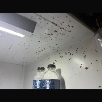 Buzdolabındaki Kötü Koku Ve Hijyen Sorununa Çözüm Bulamıyorum