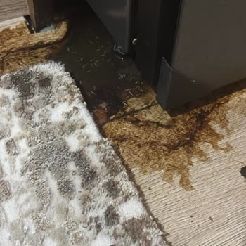 Buzdolabındaki Kötü Koku Ve Hijyen Sorununa Çözüm Bulamıyorum