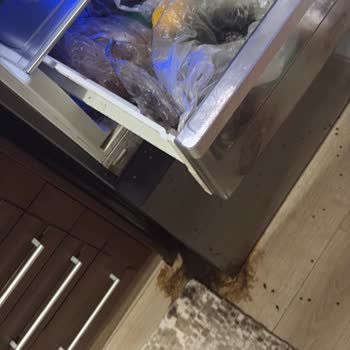 Buzdolabındaki Kötü Koku Ve Hijyen Sorununa Çözüm Bulamıyorum