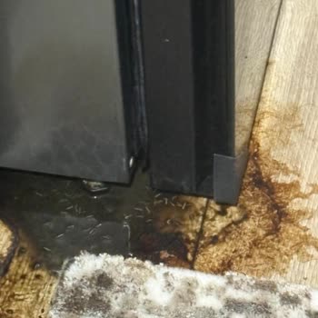 Buzdolabındaki Kötü Koku Ve Hijyen Sorununa Çözüm Bulamıyorum