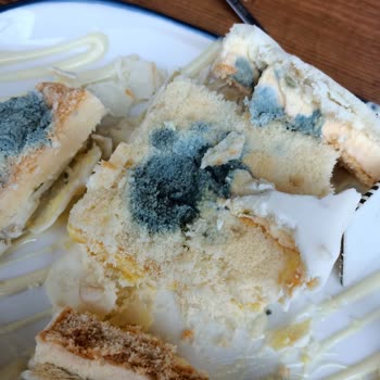 Mado Atlantis AVM'de Küflü Pasta Ve Yetersiz Hijyen Denetimi