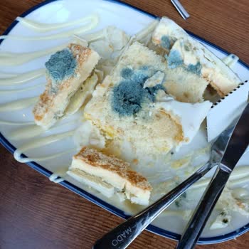 Mado Atlantis AVM'de Küflü Pasta Ve Yetersiz Hijyen Denetimi