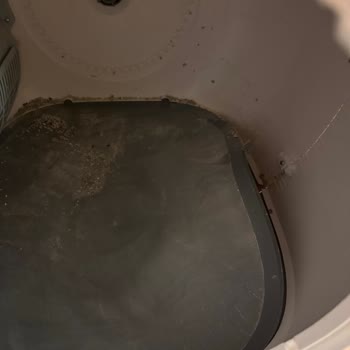 Kedi Tuvaleti Sürekli Sızdırıyor, Müşteri Hizmetleri Çözüm Sunmuyor