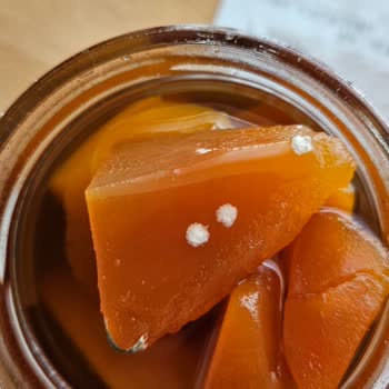 Pol's Gurme Küflü Balkabağı Ürünü Ve Eksik Son Kullanma Tarihi Hakkında Açıklama Bekliyorum!