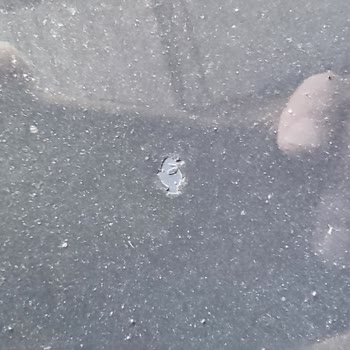 Sıfır Araçta Vernik Sorunu Ve Yetersiz Servis Yaklaşımı