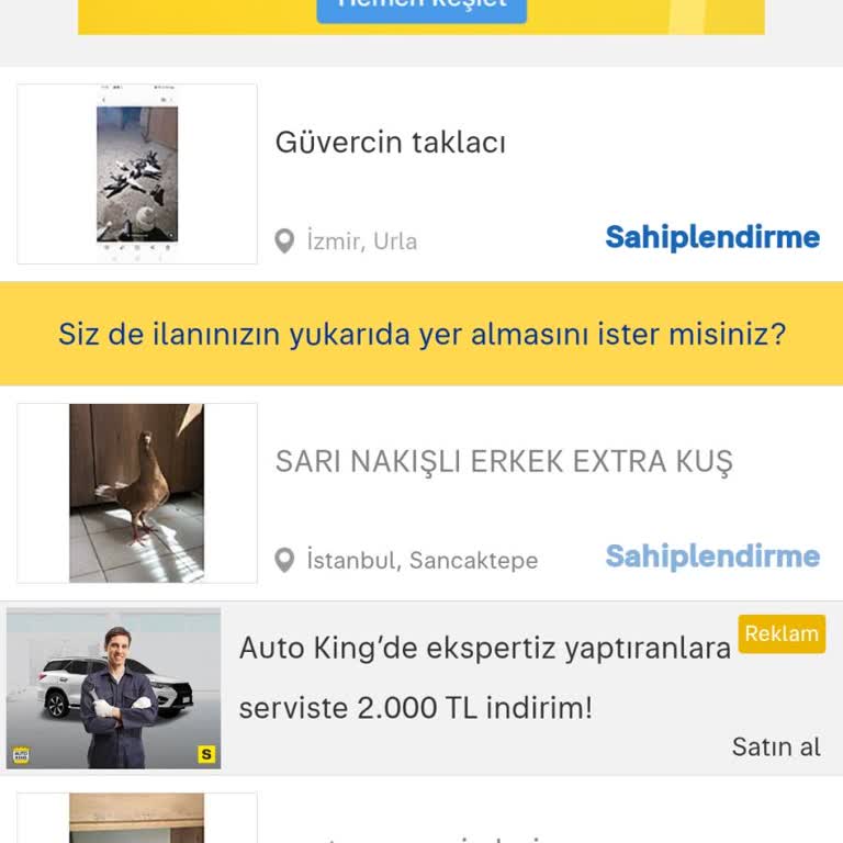 Ücretsiz Sahiplendirme İlanım Satış Gerekçesiyle Haksız Yere Reddedildi