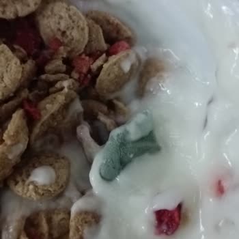 Küflü Yoğurt Tüketimi Sonrası Sağlık Sorunu Yaşadım