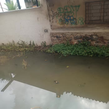 Pendik Belediyesi Ve İSKİ Arasında Kalan Atık Su Hattı Mağduriyeti: Sağlık Ve Maddi Sorunlarımız Çözülmüyor