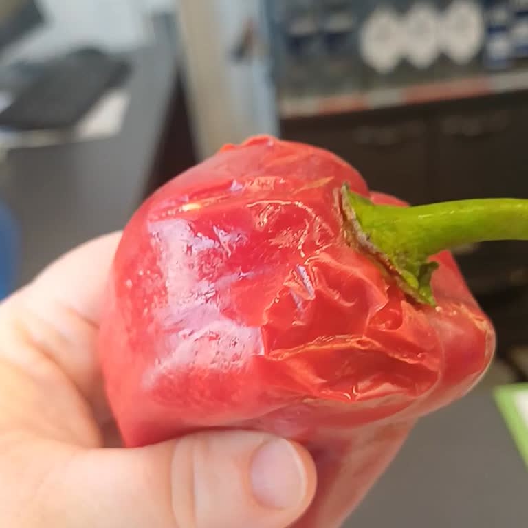 Sürekli Tekrarlanan Sipariş Sorunları Ve İlgisiz Personel