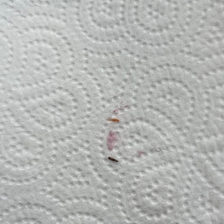 Dondurulmuş Frambuazda Kurt Çıkması Ve Güven Sorunu