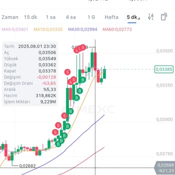 I Lost Entire Balance on Mexc Bitcoin Futures Despite Active Stop-Loss Protection