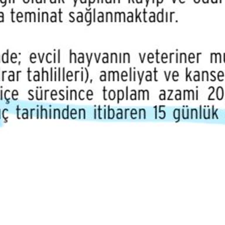 Sigorta Teminatı Hakkım Red Edildi, Ödeme Yapılmıyor!